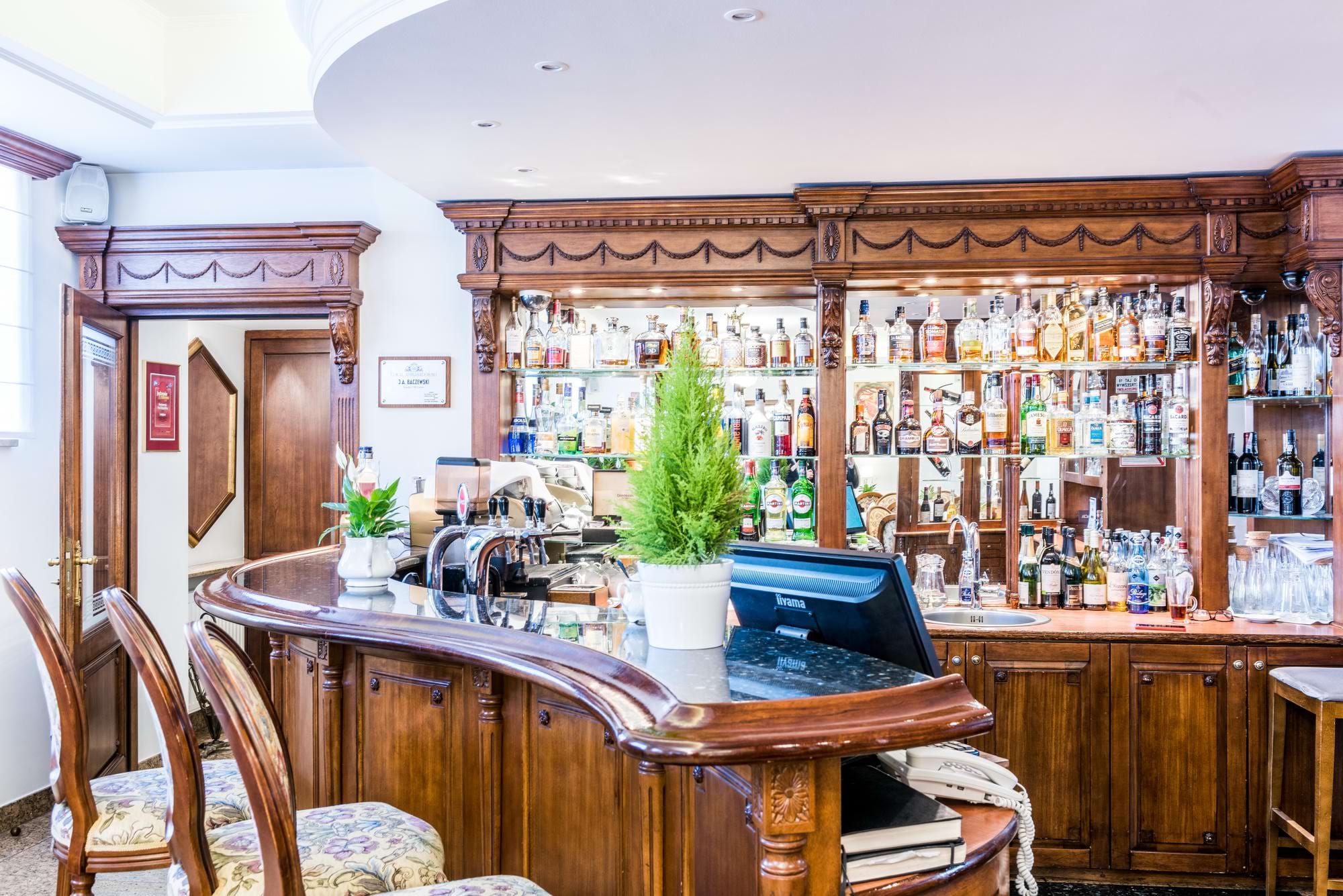 Elegancki bar z ciemnego drewna, regał z alkoholem i zieloną rośliną